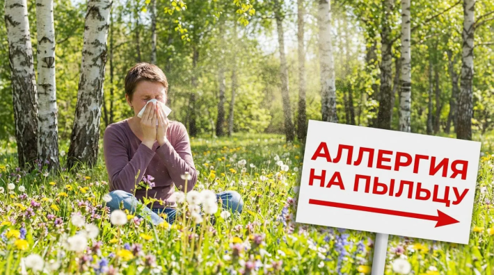 Куда уехать от берёзы: гид для аллергиков по регионам